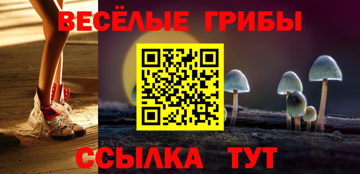 Псилоцибиновые грибы ЛСД Гусиноозёрск