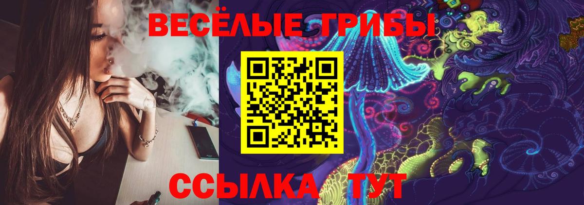 Галлюциногенные грибы MAGIC MUSHROOMS  Вход с VPN  Гусиноозёрск 